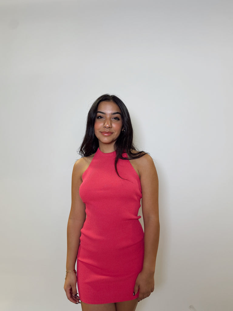Skylar Ribbed Mini Dress