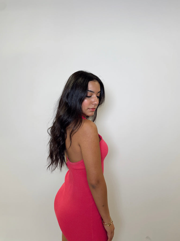 Skylar Ribbed Mini Dress