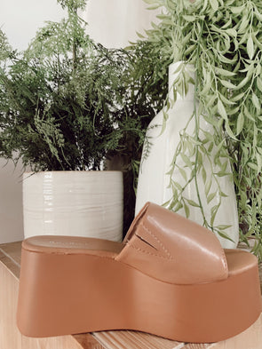 Cactus Platform Slide